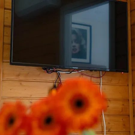 Lesny Azyl - Z Balia, Sauna, Normobaria, Ustron, Beskidy Holiday home